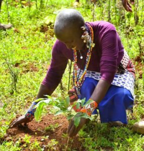 Building Communities, Transforming Lives